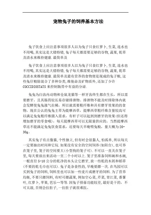 宠物兔子的饲养基本方法
