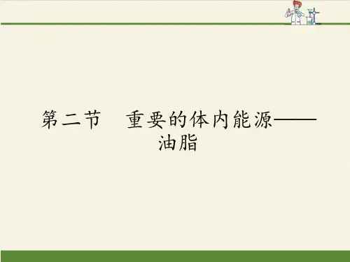 人教版高中化学选修1课件-1.2 重要的体内能源——油脂