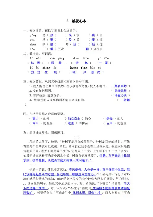 3  桃花心木作业本答案