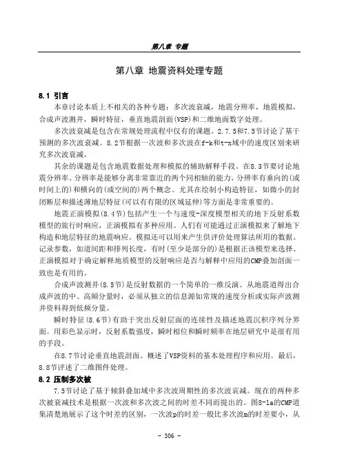 第八章 地震资料处理专题