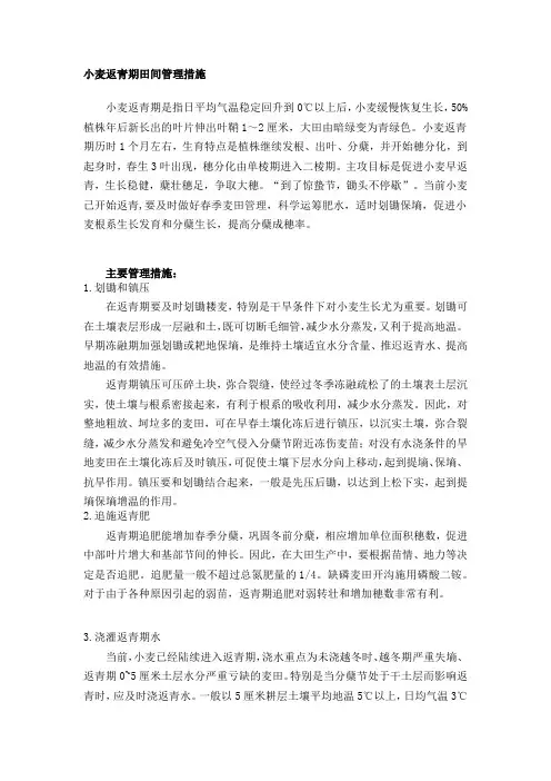 小麦返青期田间管理措施
