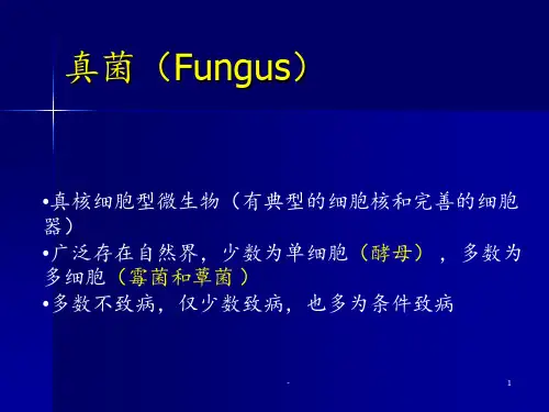 真菌概述 ppt课件