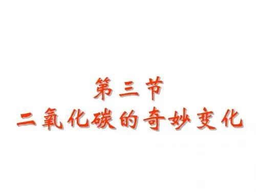 九年级化学奇妙的二氧化碳3(中学课件201908)