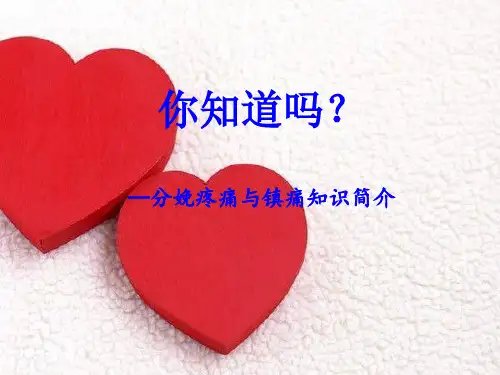 分娩镇痛宣教-2013.4.16孕妇学校课件g