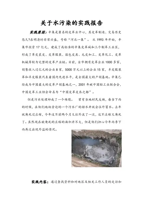 关于水污染的实践报告