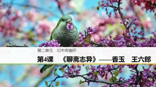 语文人教版选修《中国小说欣赏》第二单元 第4课 《聊斋志异》——香玉 王六郎
