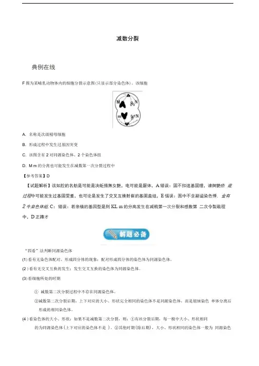 2019年高考生物一轮复习专题减数分裂每日一题.doc