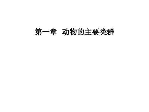 人教版八年级生物上册第一单元第一章   动物的主要类群复习题课件