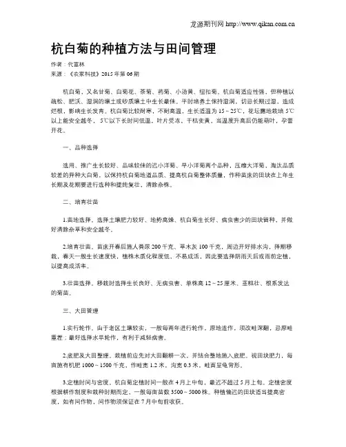 杭白菊的种植方法与田间管理
