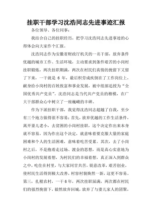 挂职干部学习沈浩同志先进事迹汇报