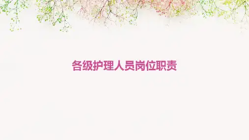 各级给类护理人员岗位职责PPT课件