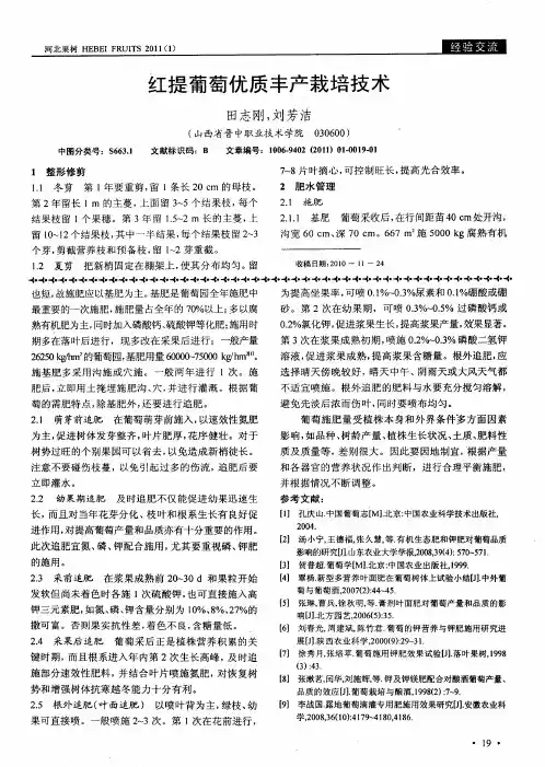 红提葡萄优质丰产栽培技术