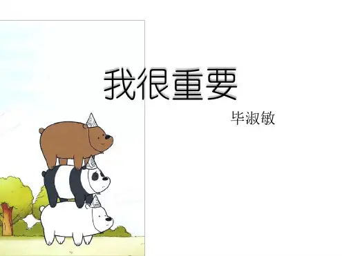 毕淑敏我很重要课件