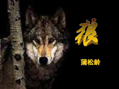 狼(课文学习)
