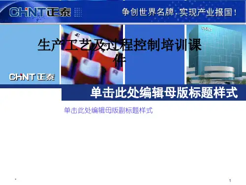 生产工艺及过程控制培训课件
