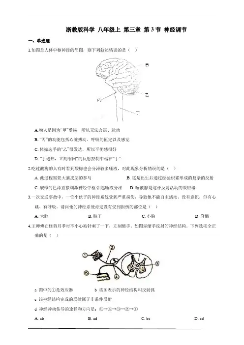 浙教版科学 八年级上 第三章 第3节 神经调节