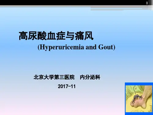 5.高尿酸血症与痛风诊疗规范
