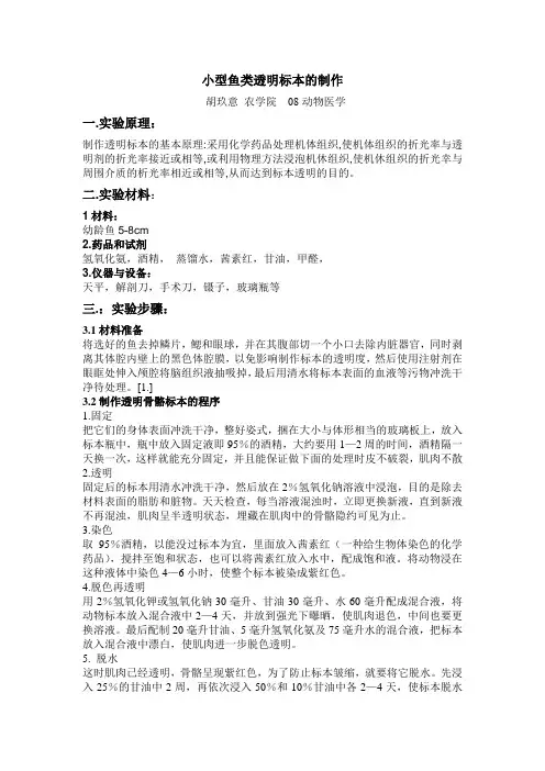 透明标本提纲-胡玖意