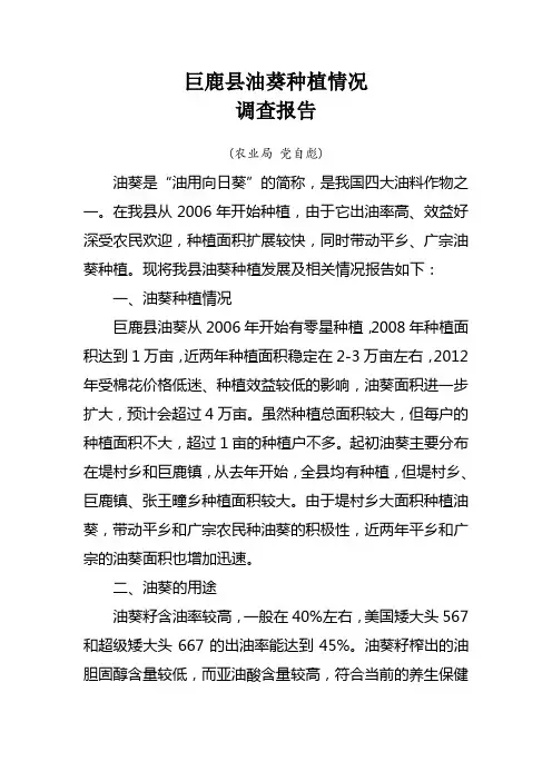 巨鹿县油葵种植情况调查报告