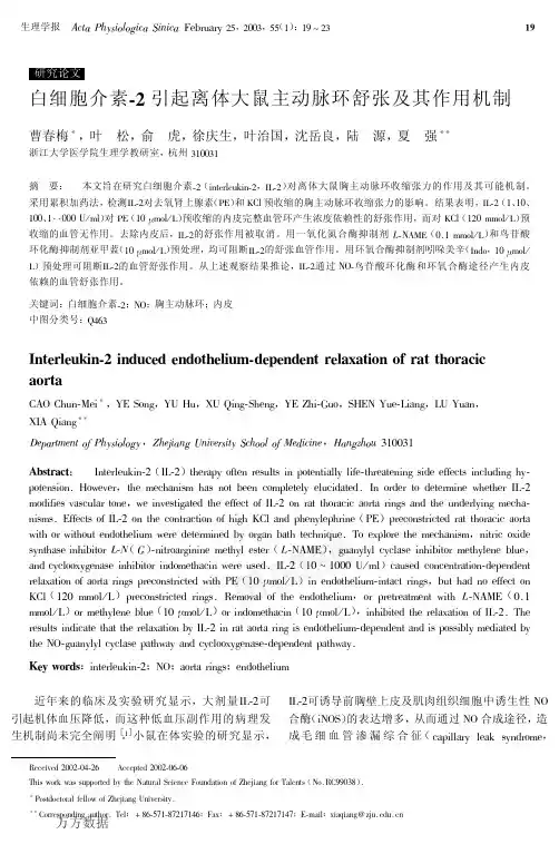 体大鼠主动脉环舒张及其作用机制