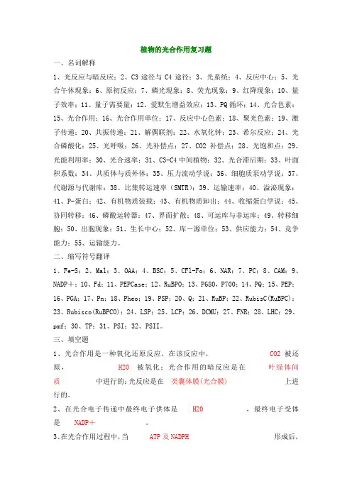 植物的光合作用复习题