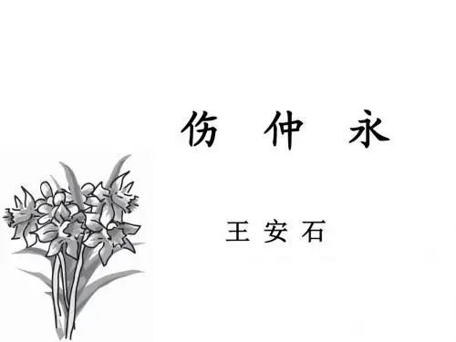 《伤仲永》复习课件