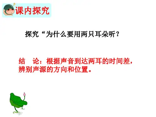 耳和听觉 ppt课件