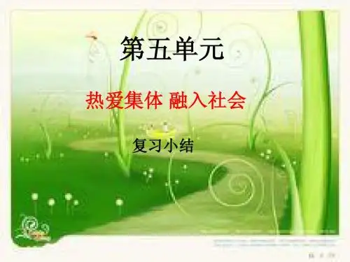 2012八年级下册政治第五单元复习用课件(鲁教版)