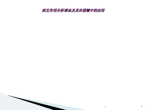 相互作用分析理论ppt课件