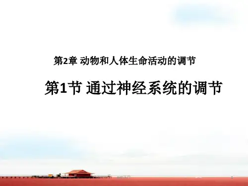动物和人体生命活动调节
