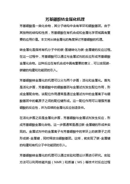 芳基硼酸转金属化机理