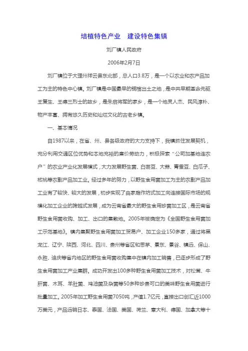 培植特色产业  建设特色集镇