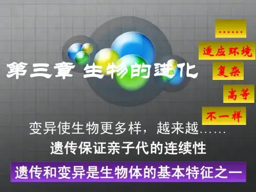 生命的起源