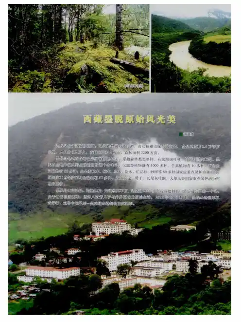 西藏墨脱原始风光美