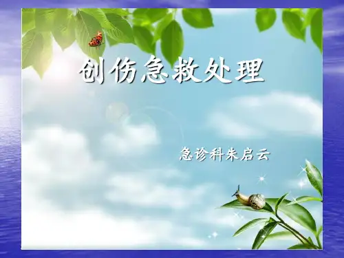 创伤急救处理 1 ppt课件