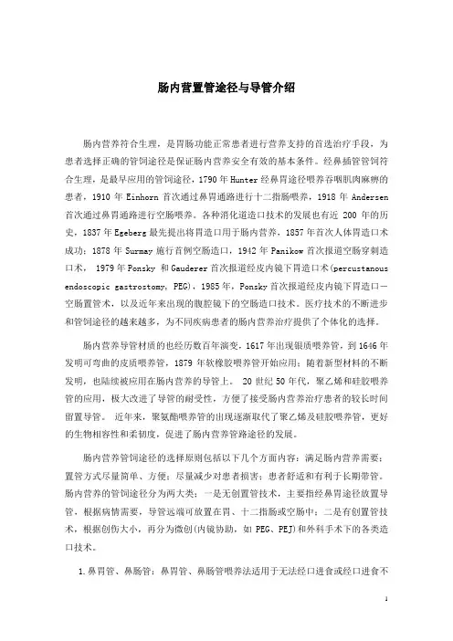 肠内营置管途径与导管介绍