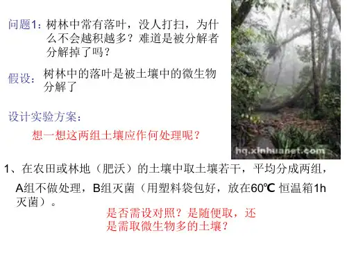 土壤微生物的分解作用1