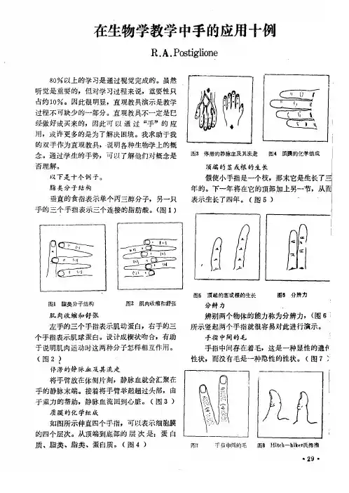在生物学教学中手的应用十例