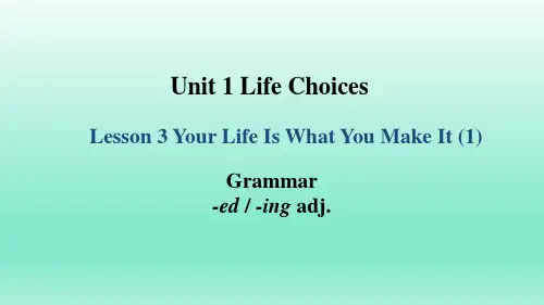 新北师大版高中英语必修一 Unit 1 Lesson 3 (共13张PPT)