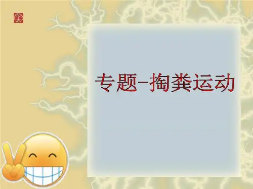 专题-掏粪运动