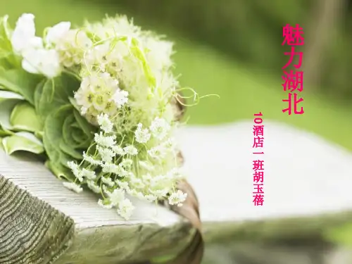 湖北简介