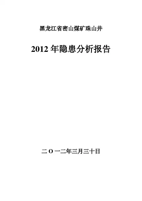 隐患分析报告