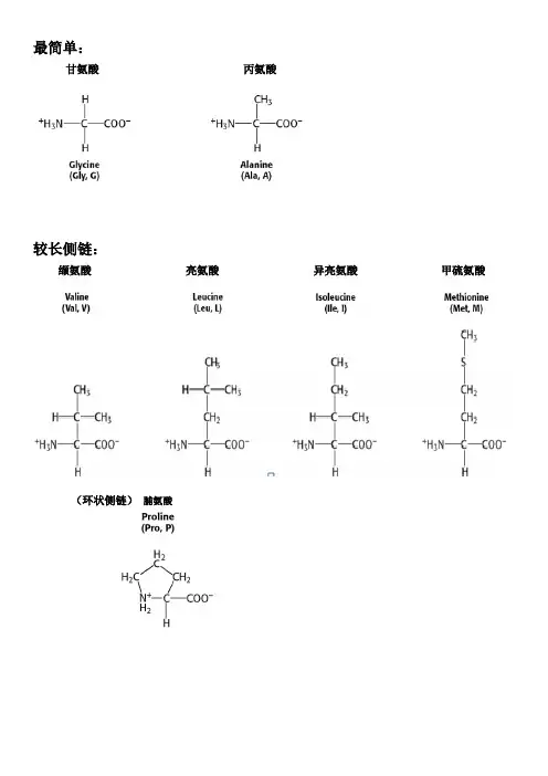 氨基酸的分类记忆