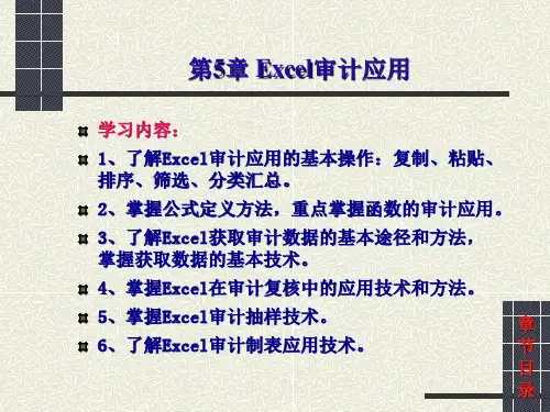 第5章_excel审计应用