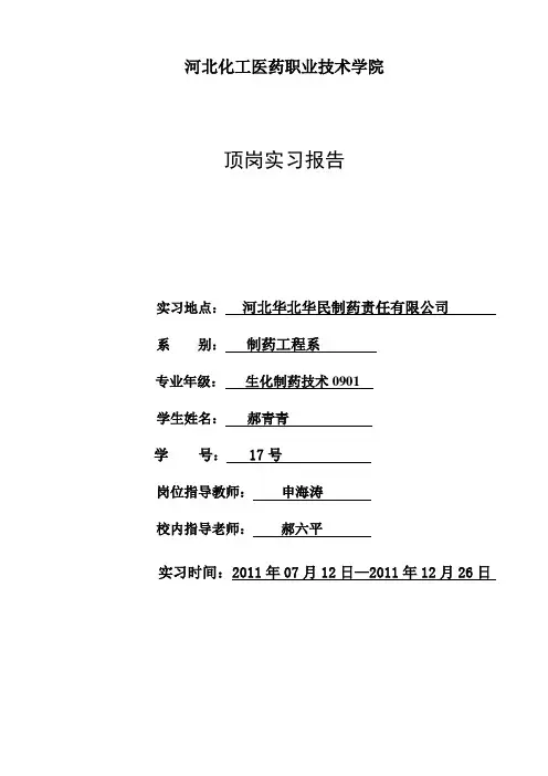 (顶岗实习报告)