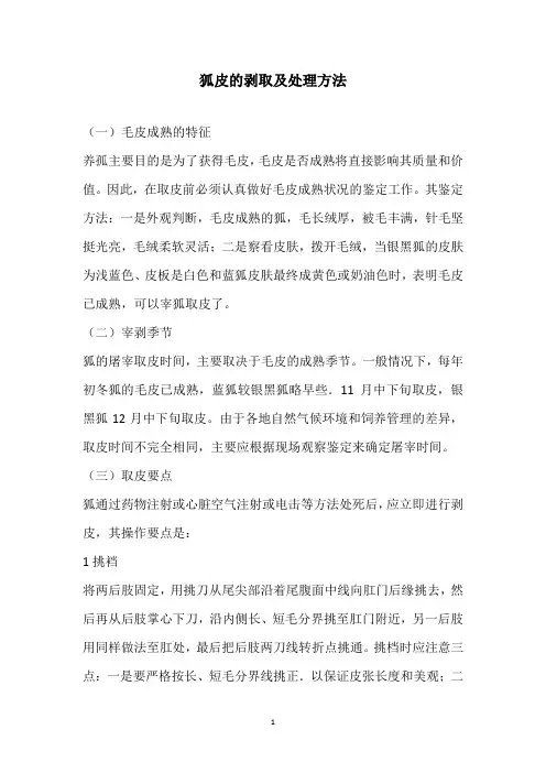 狐皮的剥取及处理方法