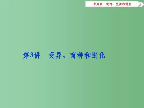 高考生物二轮复习 专题四 遗传、变异和进化 第3讲 变异、育种和进化
