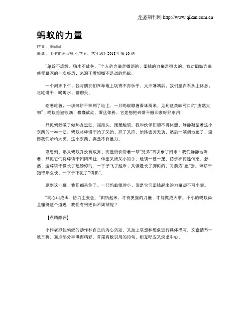 蚂蚁的力量
