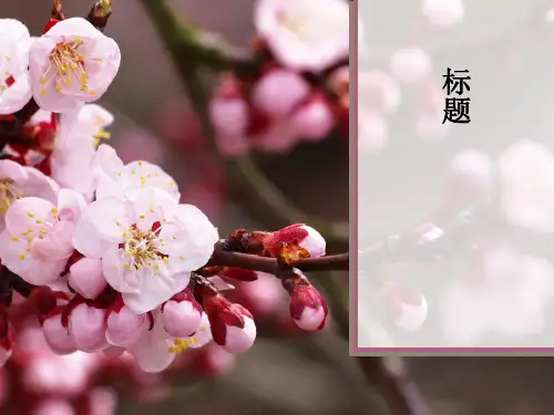 PPT模板春天桃花