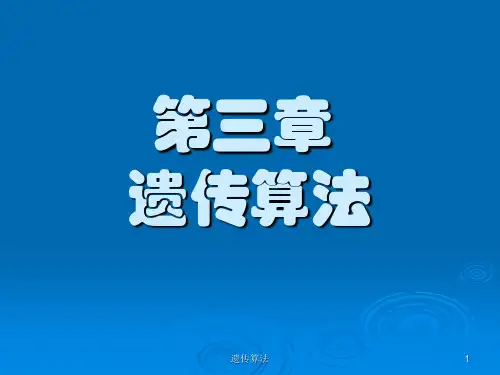 遗传算法 ppt课件